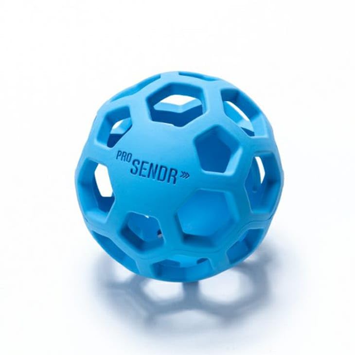 Amazon | ProSENDR プロセンダー ゴルフ練習器具 スイング